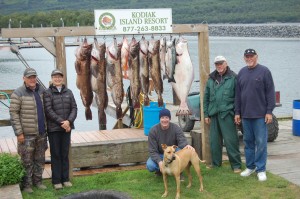 Ling Cod fishing in Larsen Bay Alaska has been red hot this August.