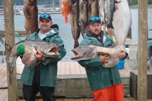 Captains Joe Walburn and Jim Rinckey struggle to posh for this photo op holding to 70 plus pund ling cods.