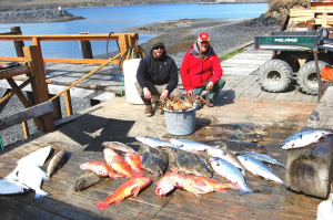 Spring Kings with plenty of halibut and yelloweye rockfish!