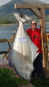 Bob Arnold from Michigan caught a new Kodiak Island Resort record for biggest halibut today.