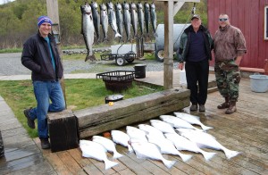 A limit of Spring King Salmon and early season halibut !!!!